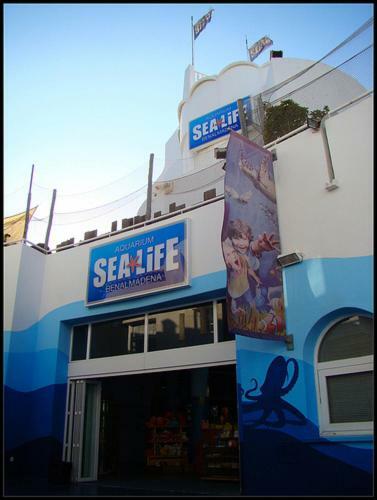 Appartamento Malaga Puerto Marina Costa Sol Benalmádena